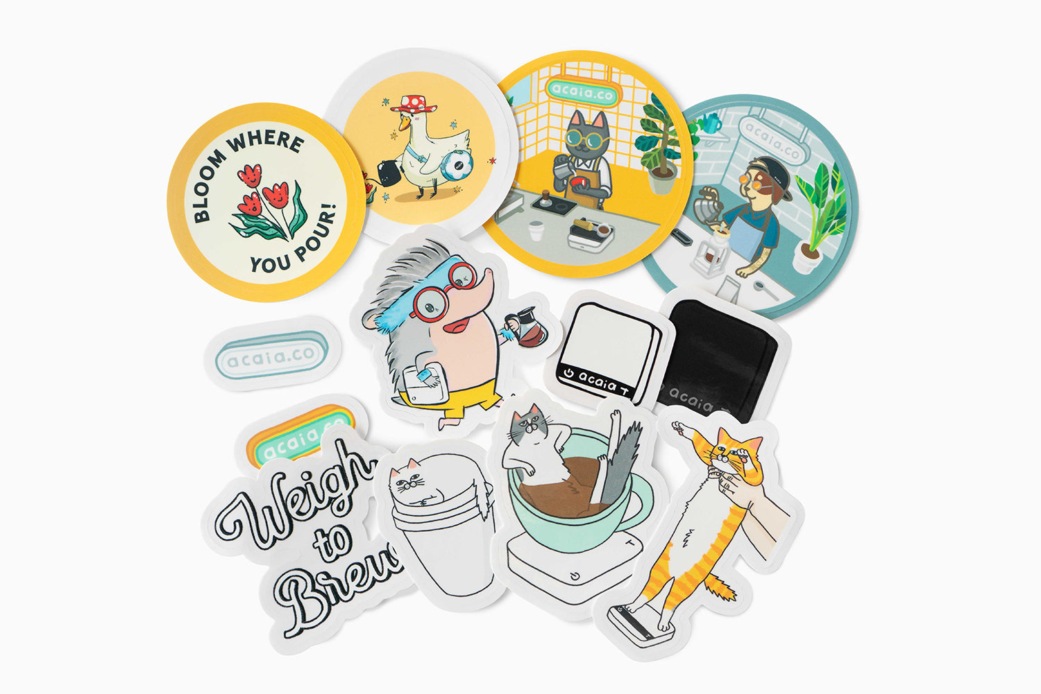 acaia-merch-sticker-set-13-aufkleber-pack image 1