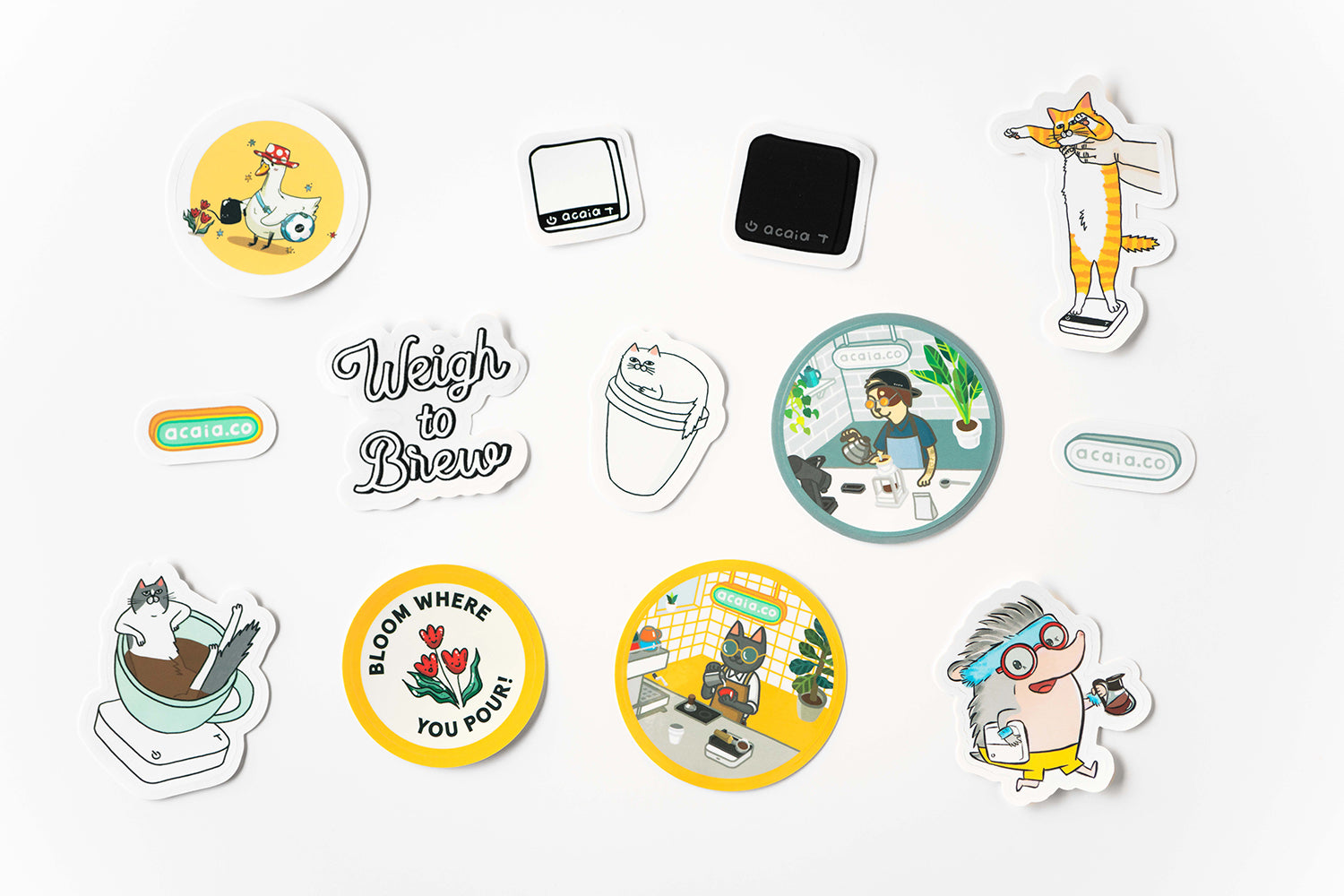 acaia-merch-sticker-set-13-aufkleber-pack image 2